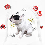 Flea Brush for Pets