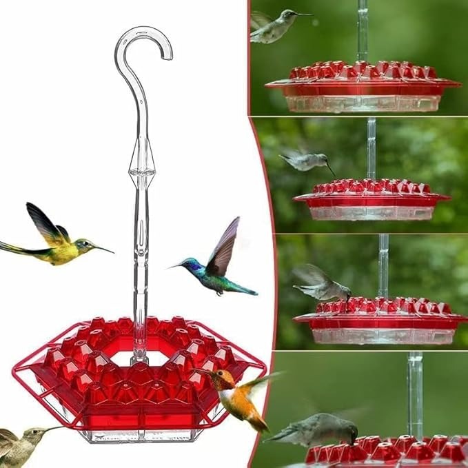 COMEDERO DE COLIBRIS